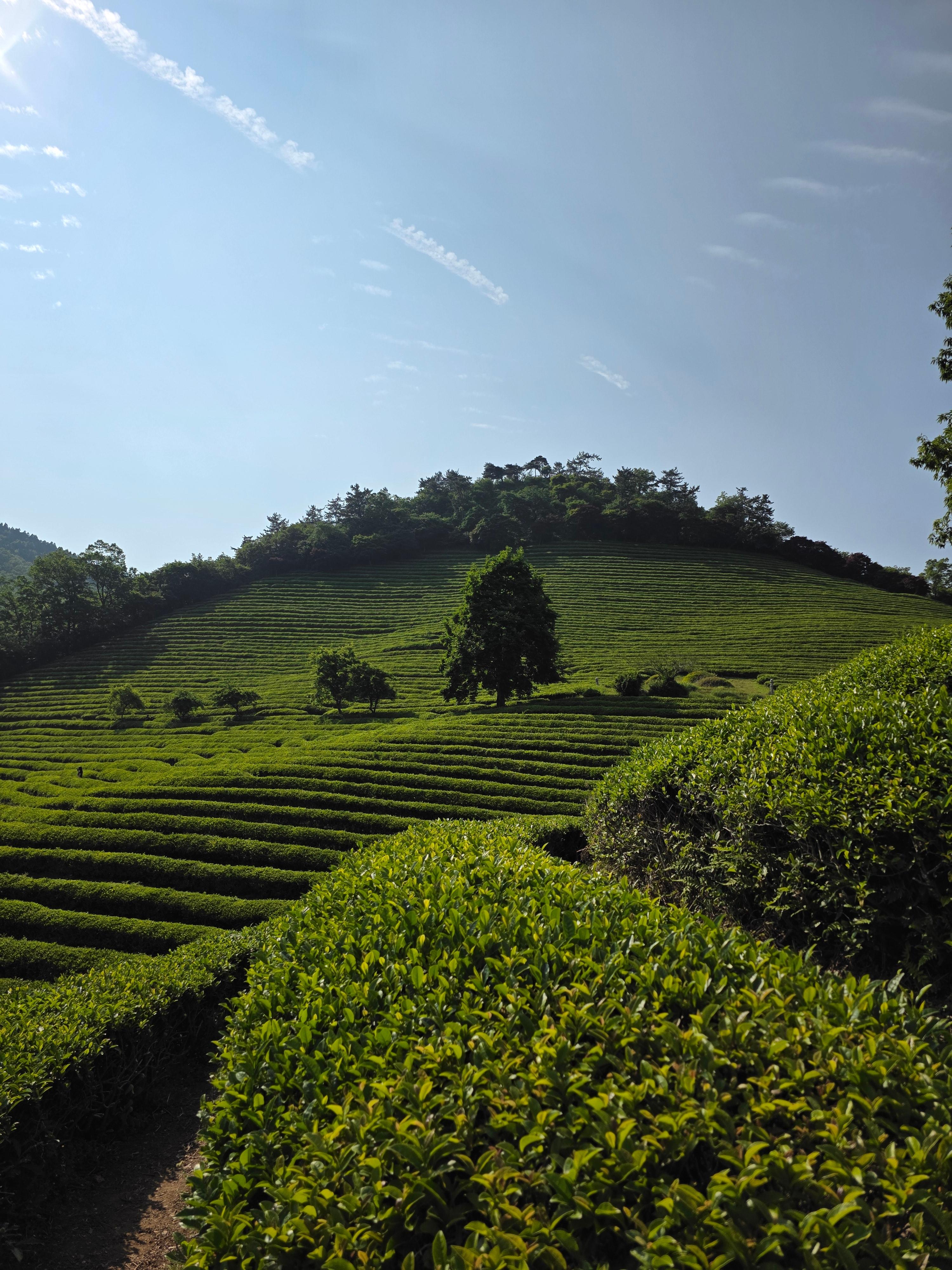 시점, 어휘(력), 문체, 필력